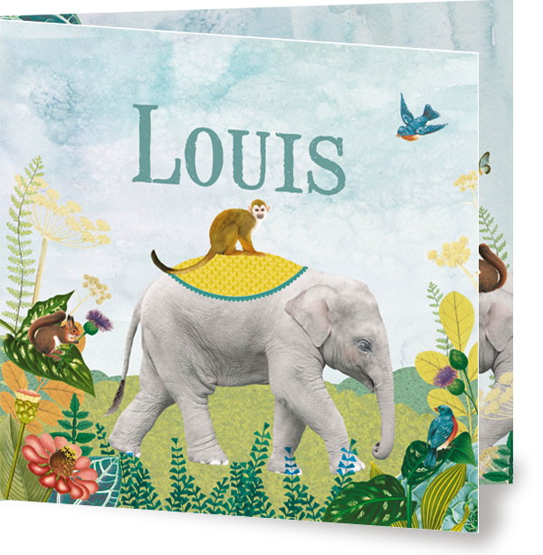 Geboortekaartje Louis , kleine olifant in landschap