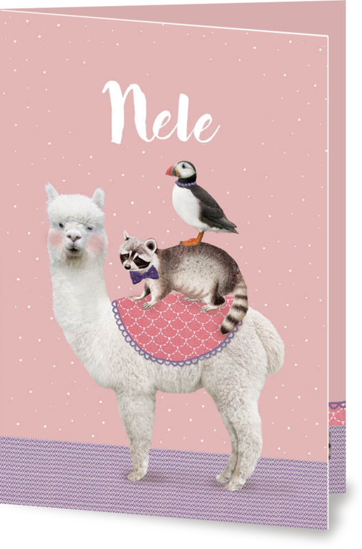 Geboortekaartje Nele | alpaca wasbeer vogel