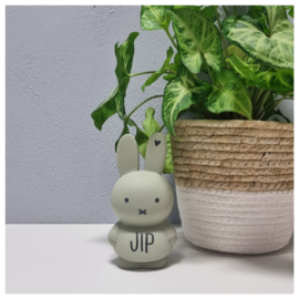 Nijntje Spaarpot met naam Warm, Eucalyptus Klein | Atelier Pierre Money Box