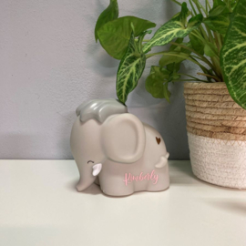 Olifant spaarpot met naam | Money Box Elephant | DHINK