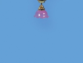 WH-EL97 Plafondlamp Tulp Roze