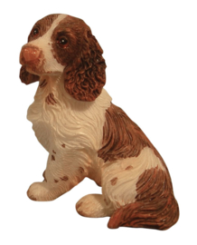 SAD-DA007 Zittende Springer Spaniel