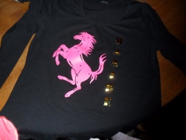 Mooi Paarden T-Shirt eventueel mat naam kind of paard