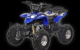 Quad (polaris) 110cc kinderquad