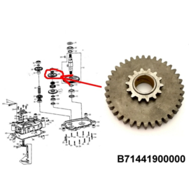 Tandwiel versnellingsbak (vooruit 36 tands), BR250-D B71441900000