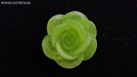 Resin cabochon roos fluor groen 18 mm