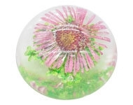 Resin cabochon droogbloem zacht roze