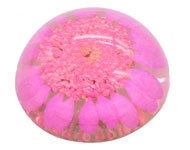 Resin cabochon droogbloem roze