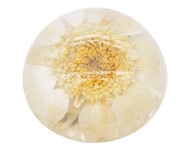 Resin cabochon droogbloem wit