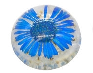 Resin cabochon droogbloem blauw