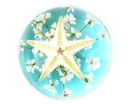 Resin cabochon zeester Aqua