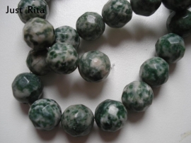 Tree Agaat 12mm facet / Tree Agate 12mm faceted