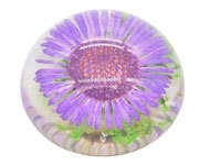 Resin cabochon droogbloem paars