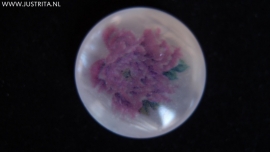 Resin cabochon met roze roos 25mm