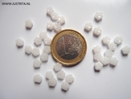 Cblo01 wit bloemetje 5 bij 3mm (15 gram)