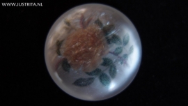 Resin cabochon met gele roos 25mm