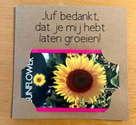 MJ003 kaartje met bloemenzaad voor juf