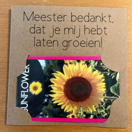 MJ002 kaartje met bloemenzaad voor meester