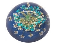 Resin cabochon droogbloemetjes Aqua/Blauw