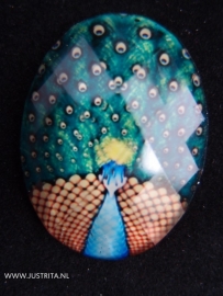 Resin cabochon "pauw" Groen