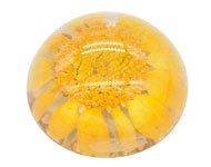 Resin cabochon droogbloem geel