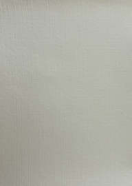 Amazona Gevelverf Pure White 5 liter