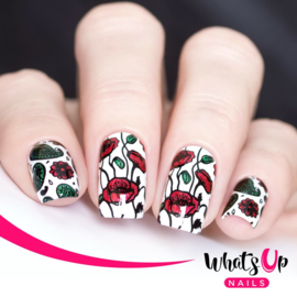 Whats Up Nails - Stamping Plate - B026 Fashion Prints