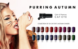 Color IT Premium - Hybrid Cat Eye Gel - 2830