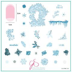Clear Jelly Stamper -  Stamping Plate of the Month - PMC-39 - Chill Frost