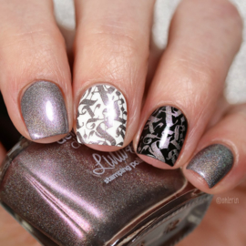 Lina - Stamping polish - Delicious Different