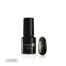 Color IT Premium - Hybrid Cat Eye Gel - 2860