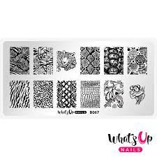 Whats Up Nails - Stamping Plate - B067 - Zoology Trip
