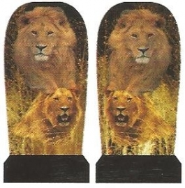 Whole Nail Waterdecal - Lions