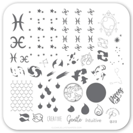 Clear Jelly Stamper - Stamping Plate - CJS_Z13 - Pisces