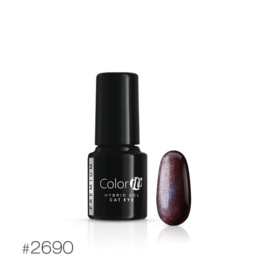 Color IT Premium - Hybrid Cat Eye Gel - 2690