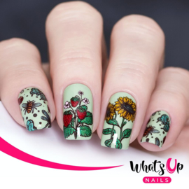 Whats Up Nails - Stamping Plate - B061 Summer in the Countryside