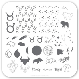 Clear Jelly Stamper - Stamping Plate - CJS_Z03 - Taurus