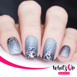 Whats Up Nails - Stamping Plate - B006 A Lá Mode