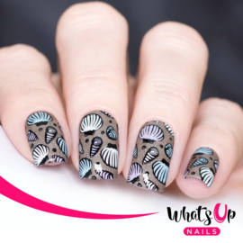 Whats Up Nails - Stamping Plate - B020 Take Me To The Sea