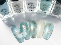 Clear Jelly Stamper -  Stamping Plate of the Month - PMC-39 - Chill Frost