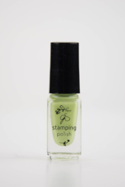 Clear Jelly Stamper Polish - #64 New Bud