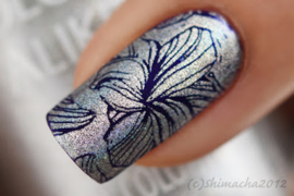 Colour Alike - Stamping Polish - Holographic -06. Princess