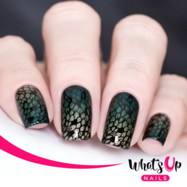 Whats Up Nails - Stamping Plate - B025 Animalistic Nature