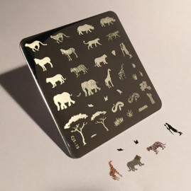 Clear Jelly Stamper - Stamping Plate - CJS_15 - Out of Africa