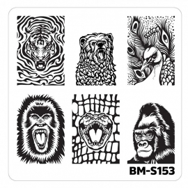 Bundle Monster - Nail Art Stamping Plates-Fuzzy and Ferocious - BM-S153, Fangs and Feathers