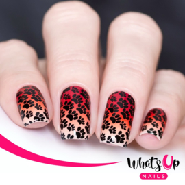 Whats Up Nails - Stamping Plate - B025 Animalistic Nature