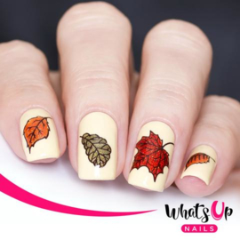 Whats Up Nails - Stamping Plate - A021 - Leaf Pile