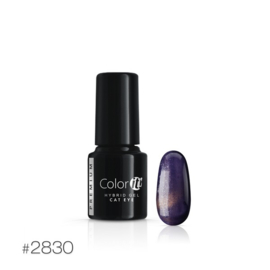 Color IT Premium - Hybrid Cat Eye Gel - 2830