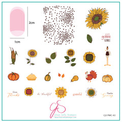 Clear Jelly Stamper -  Stamping Plate of the Month - PMC-43 - Sunflowers