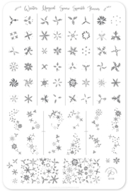 Clear Jelly Stamper - Big Stamping Plate - CJS_C30 - Painted Snowflakes